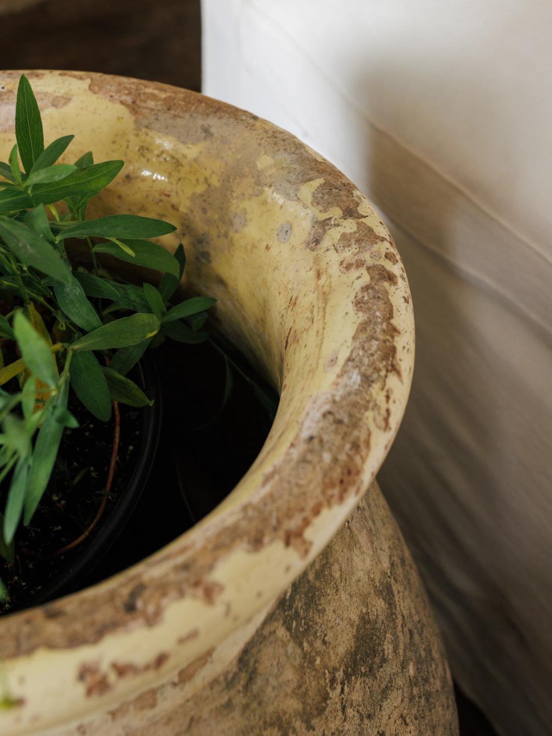 19th Century French Biot Planter