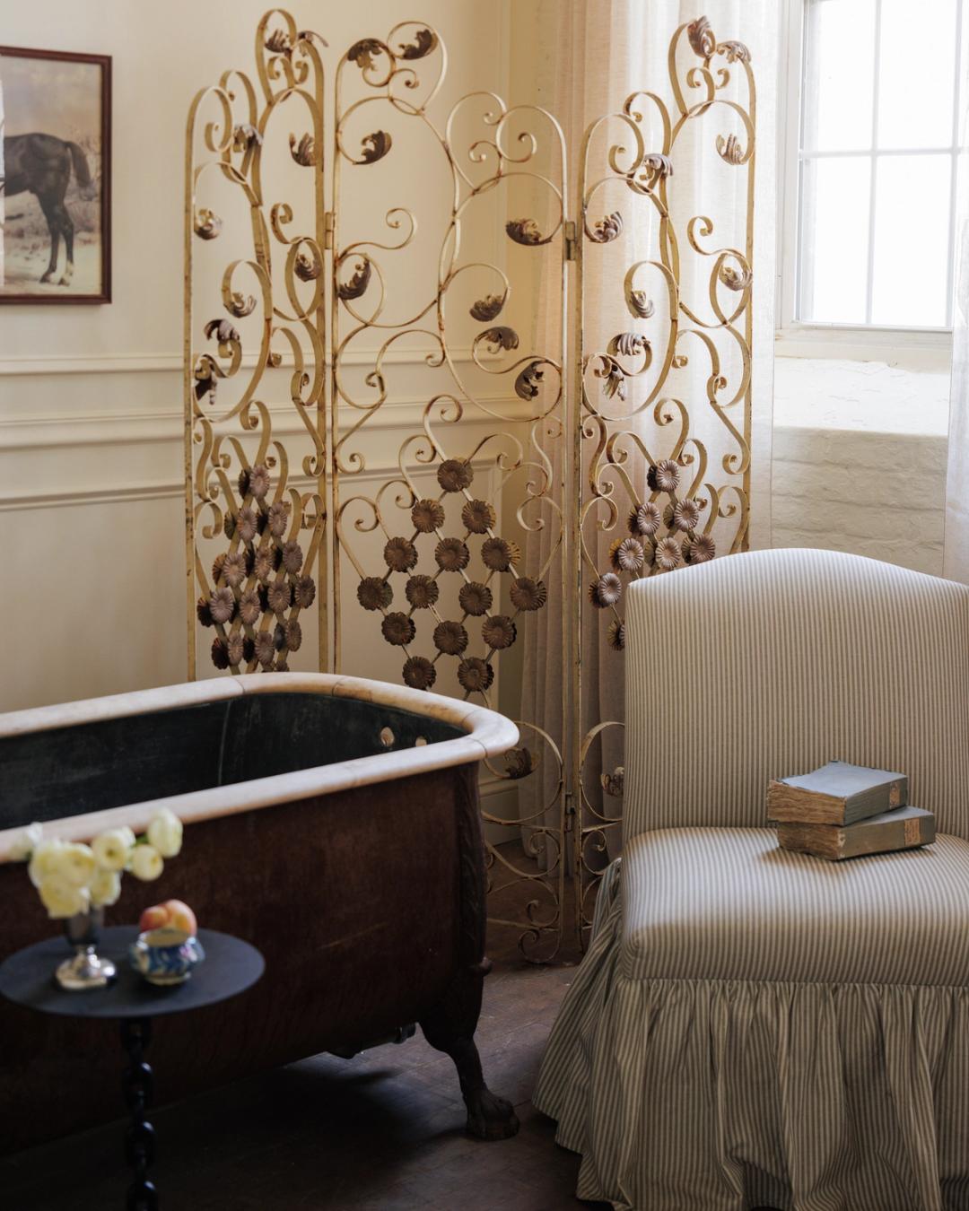 French Iron Screen