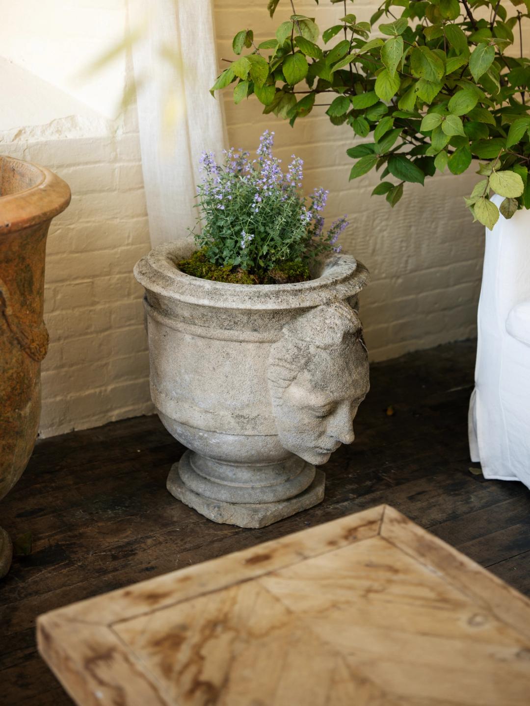 The Gemini Planter