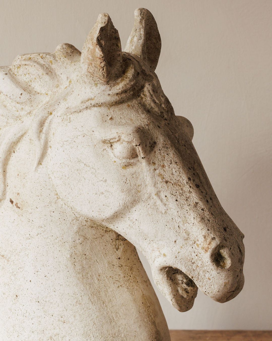 Le Cheval Bust