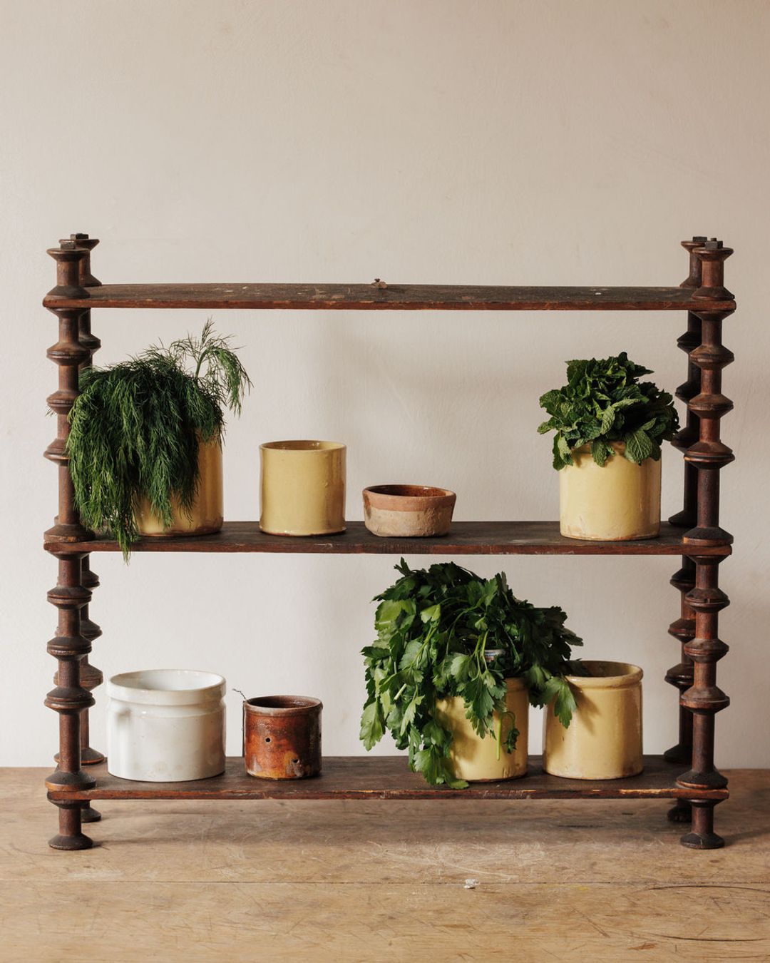 Kitchen Spice Shelf - Small