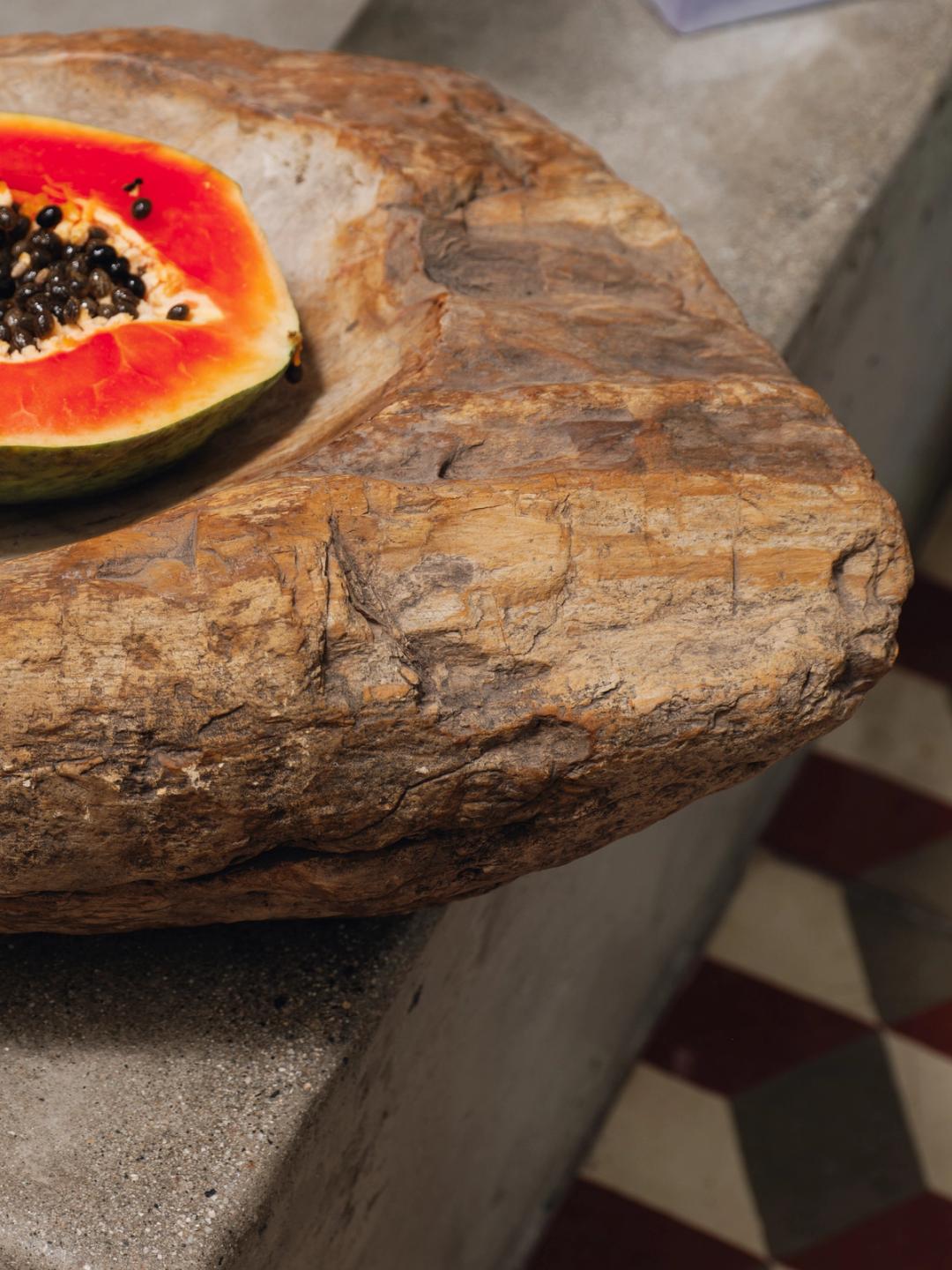 Petrified Wood Bowl