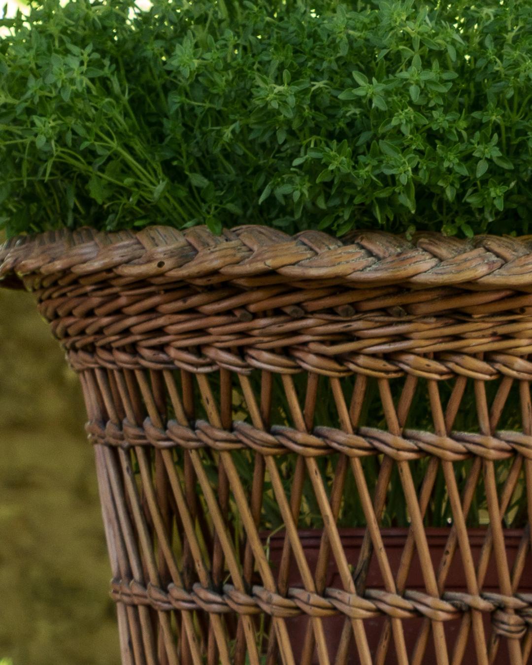 Rattan Basket