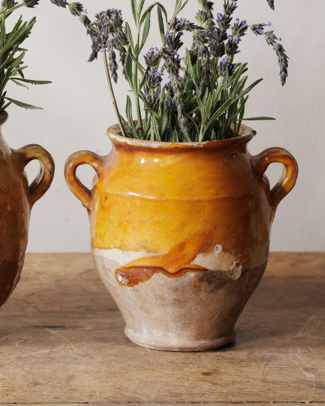 Petit Confit Pots
