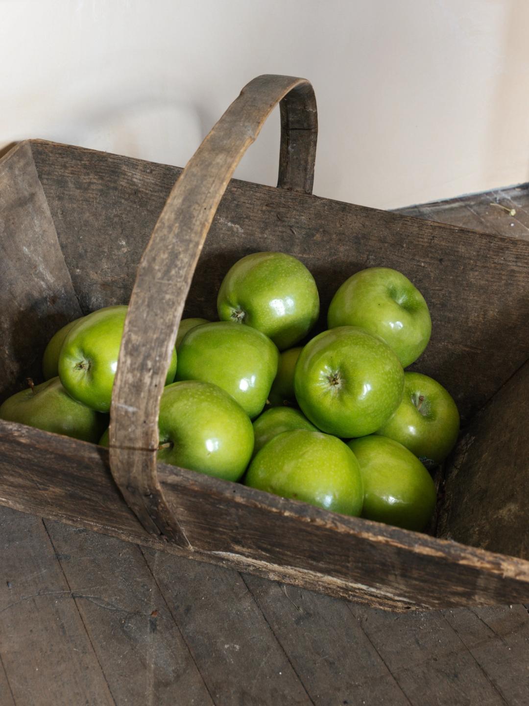 Grape Harvesting Basket