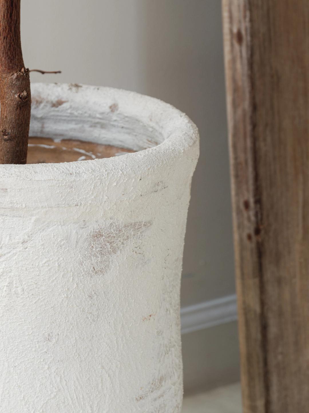 Moroccan Plaster Planter - Short
