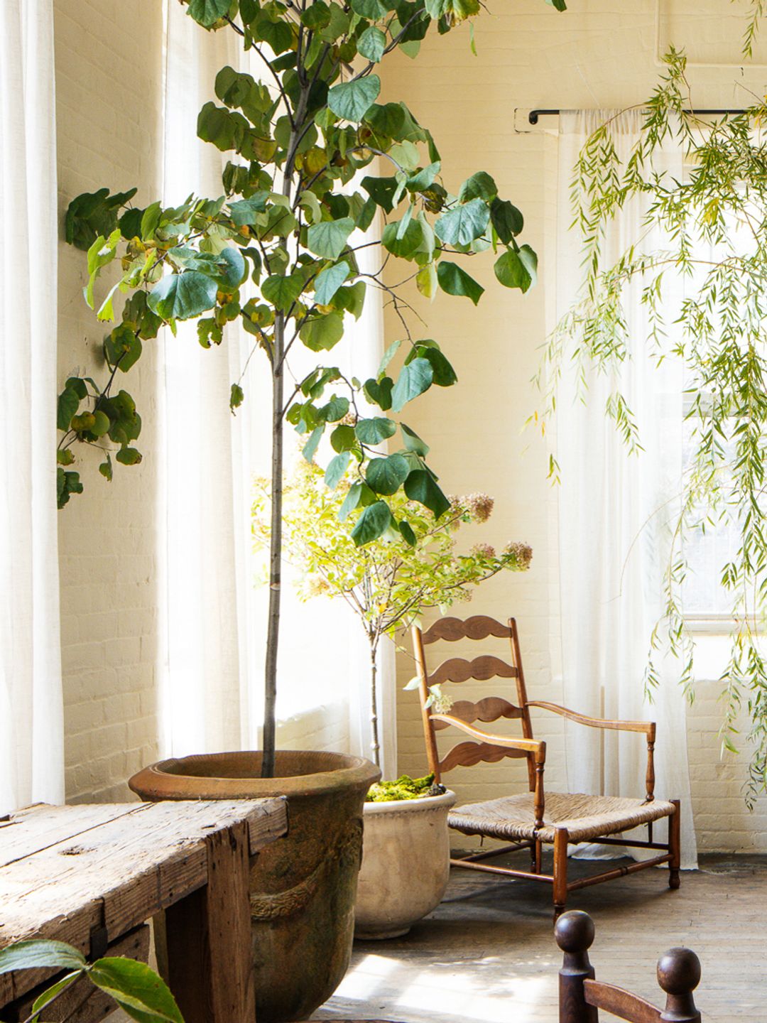 French Rush Armchair