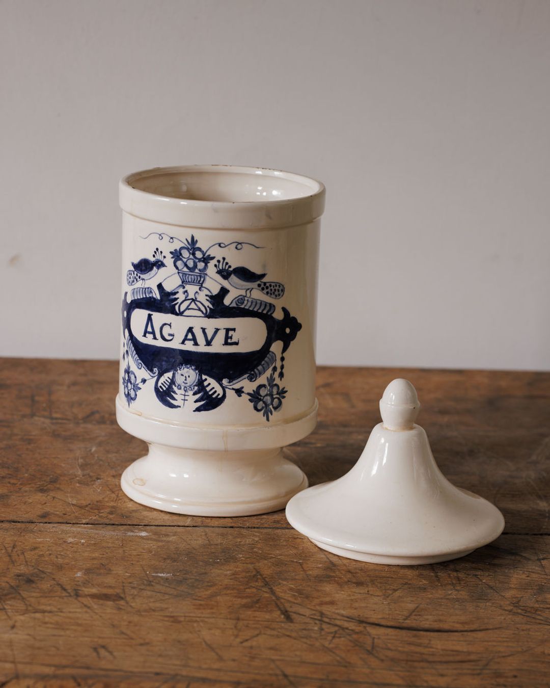 Italian Botanist Pot
