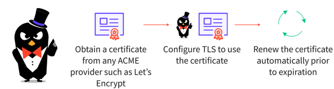 Automatic TLS with Kubernetes Ingress