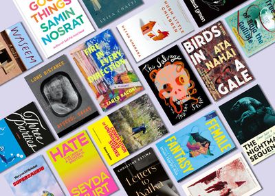 Hero image for the blog entry titled: 30 More SWANA Books in 2025: July-December Releases