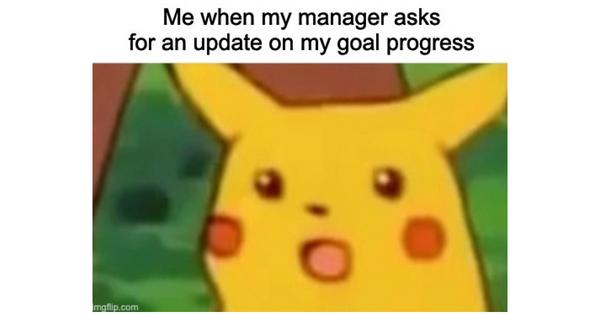 Me when my manager asks for an update on my goal progress