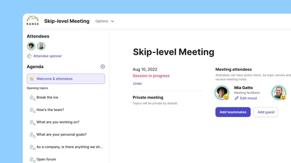 skip level meeting template Range