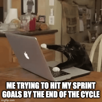 Me trying to hit my sprint goals by the end of the cycle