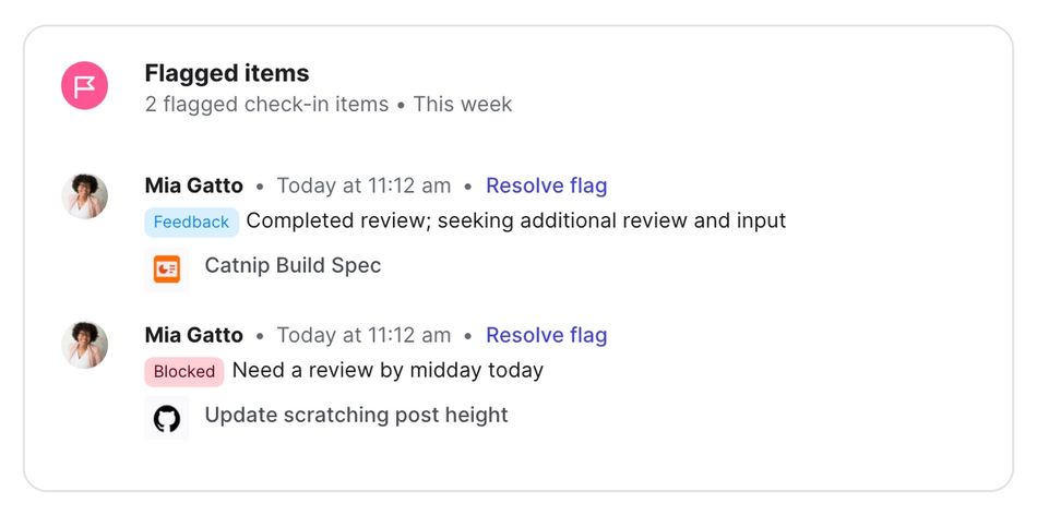 Flagged items in Check-in summaries