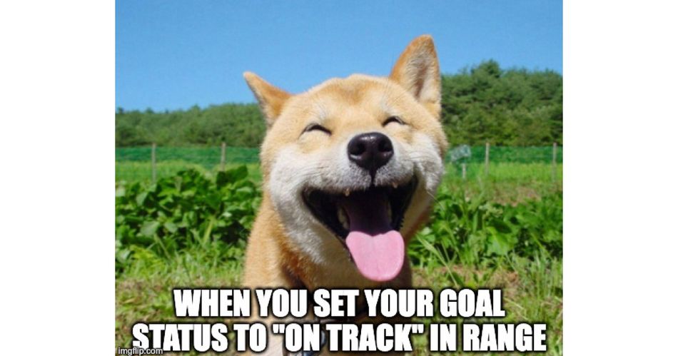 When you set your goal status to "on track" in Range