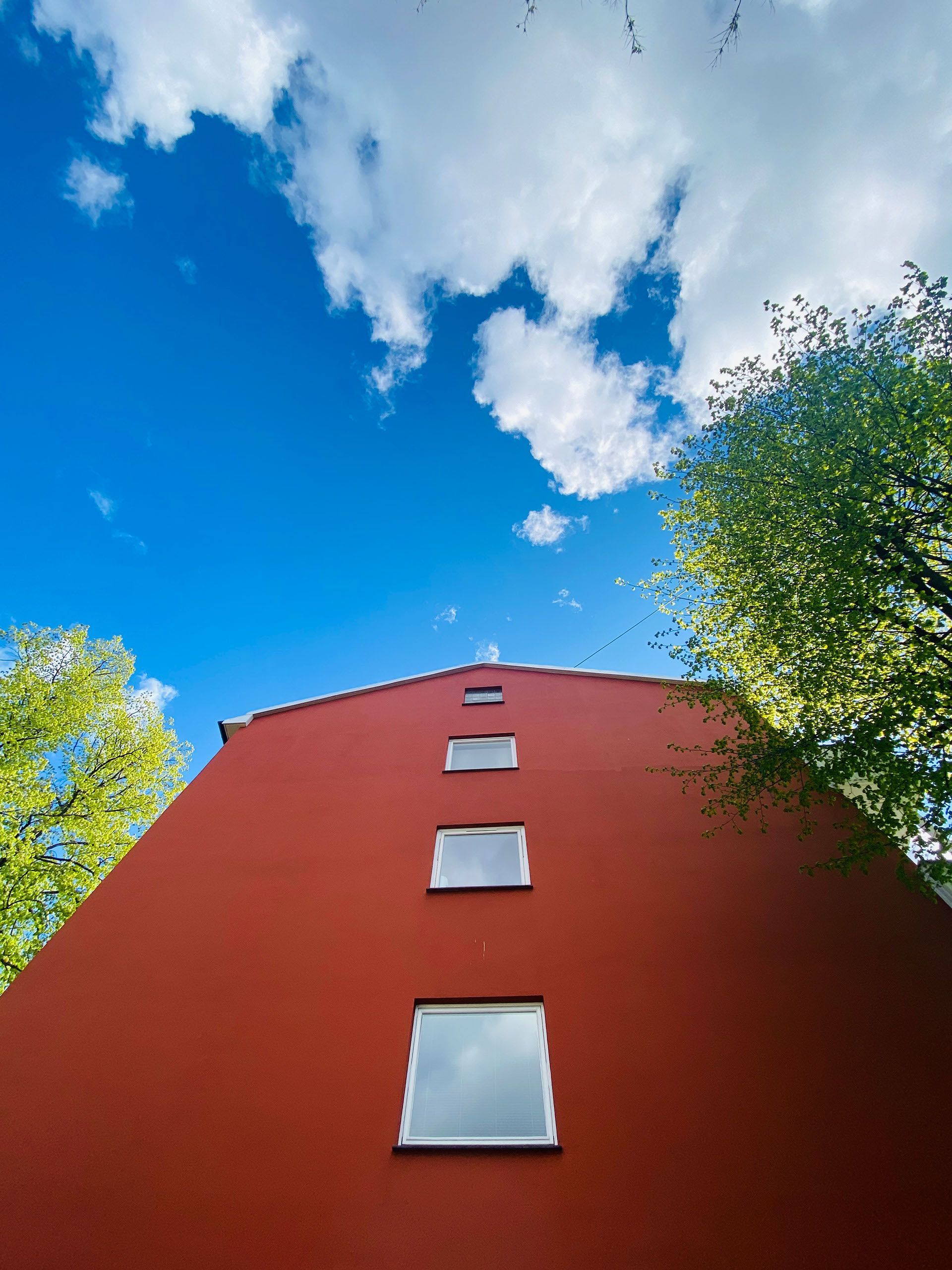 Elever tar bilder av kunst i nærmiljøet.