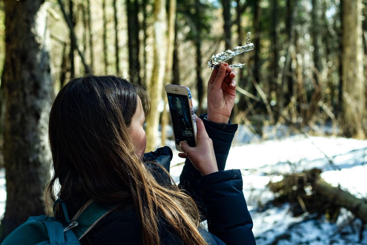 Jente tar bilde av en istapp