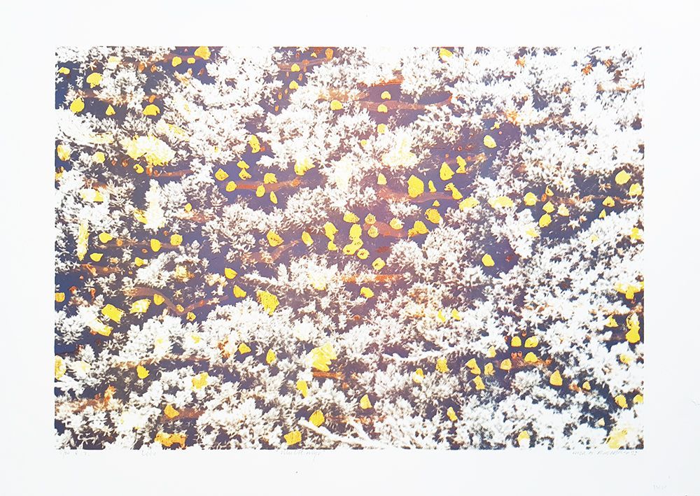 Grafikk av Dag Rødsand, Multemyr.