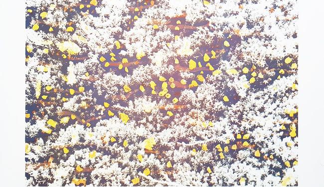 Grafikk av Dag Rødsand, Multemyr.