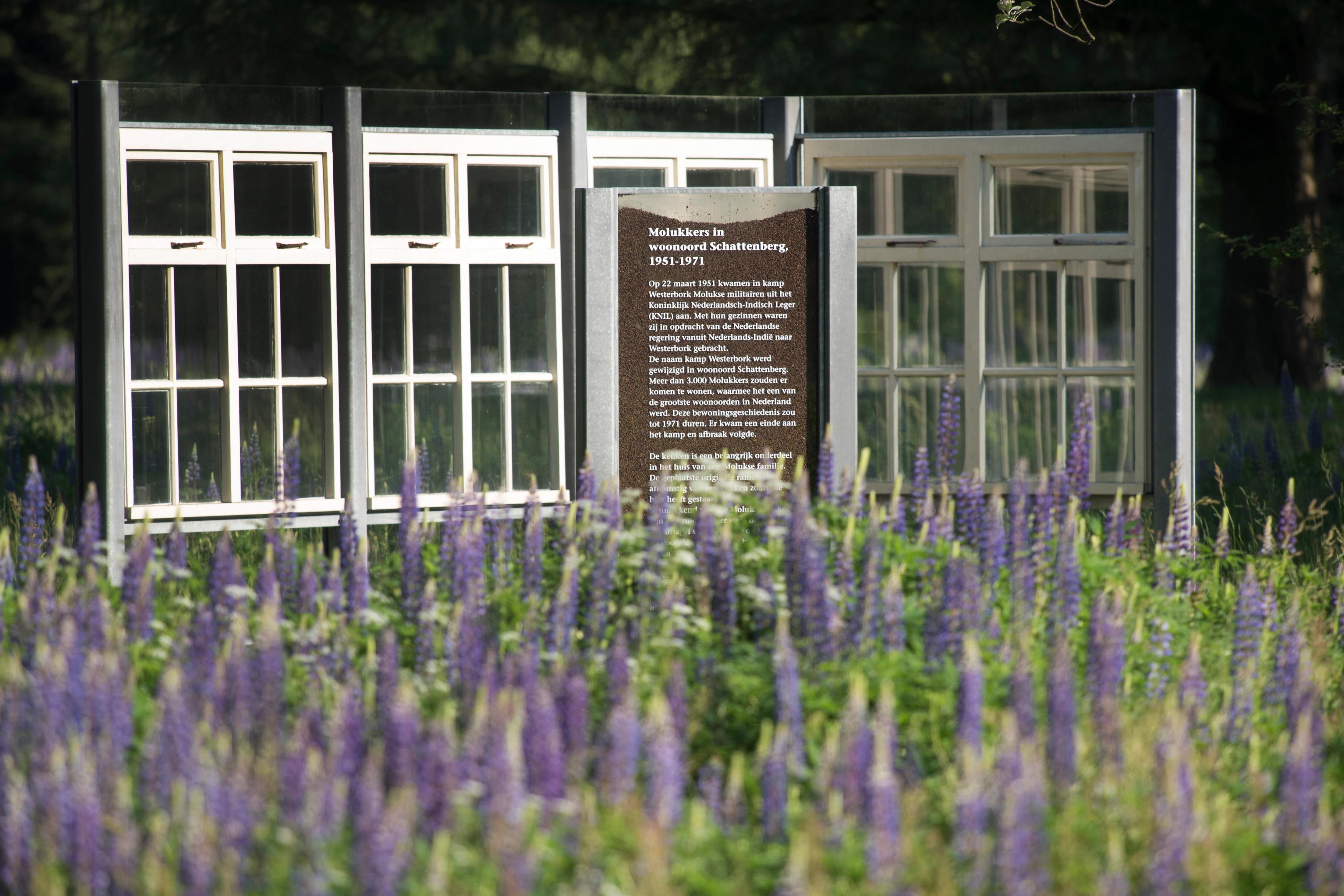 Het Schattenberg monument achter een rij lupines op voormalig kampterrein Westerbork