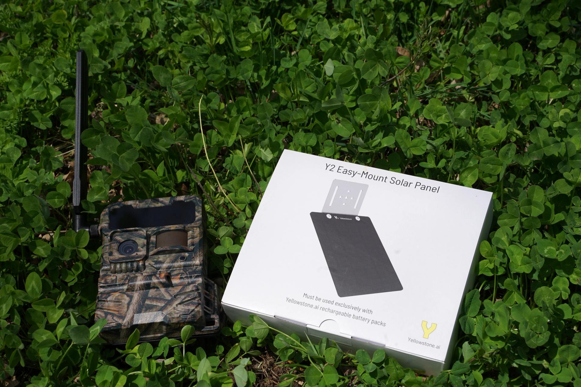 Yellowstone Y2 trail camera and Easy-Mount Solar Panel in green clover