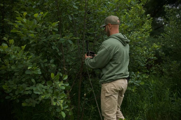 Trail camera monitoring habitat in green forest