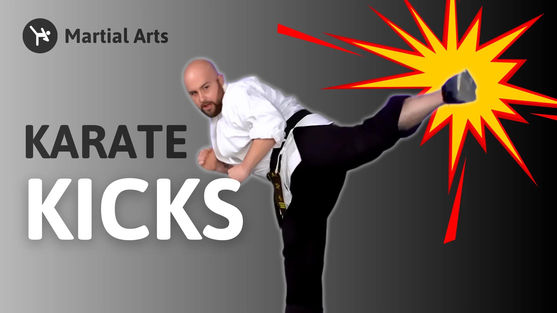 Martial Arts image 2