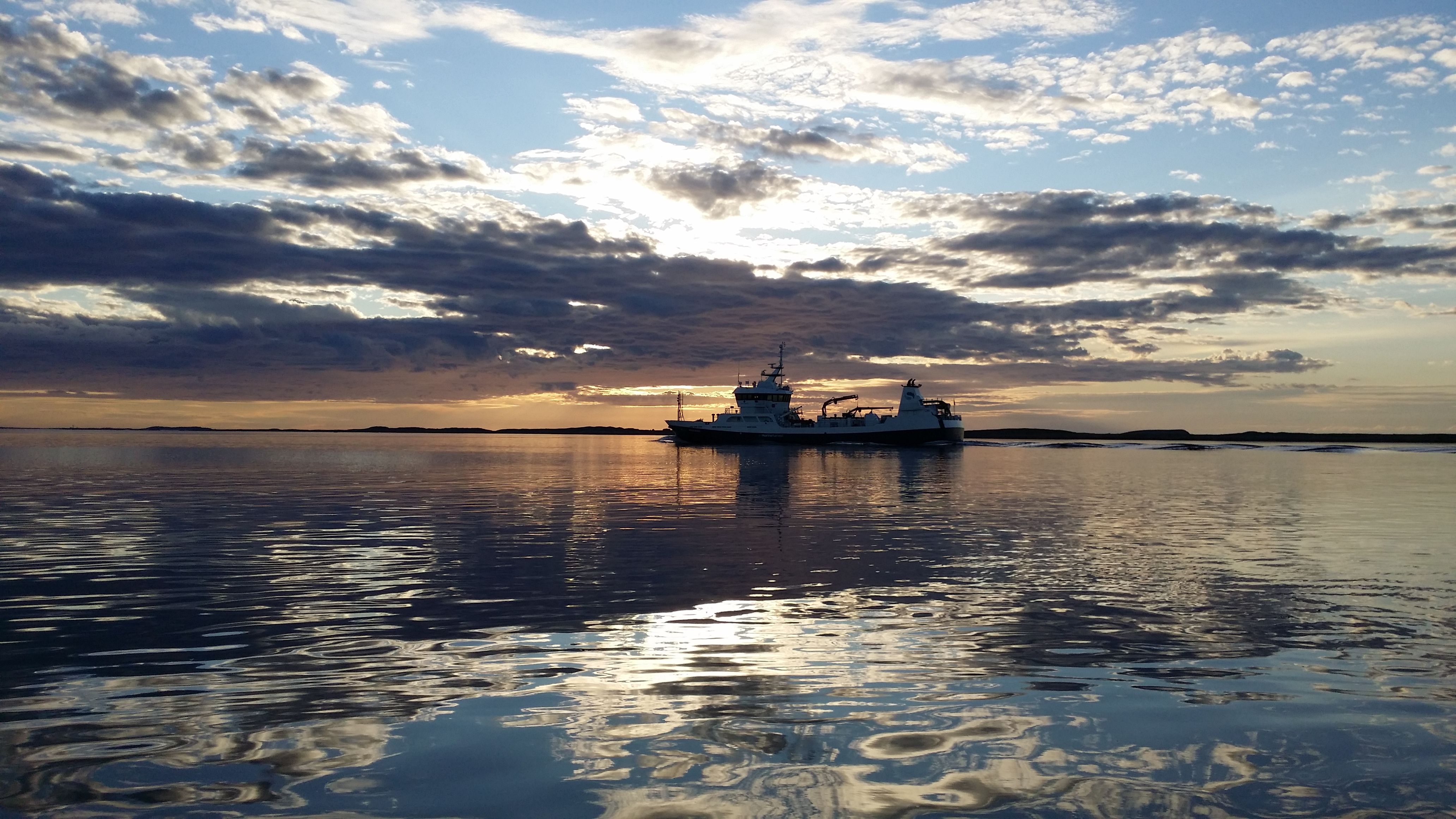 Ferga på vei inn mot Herøy i solnedgang