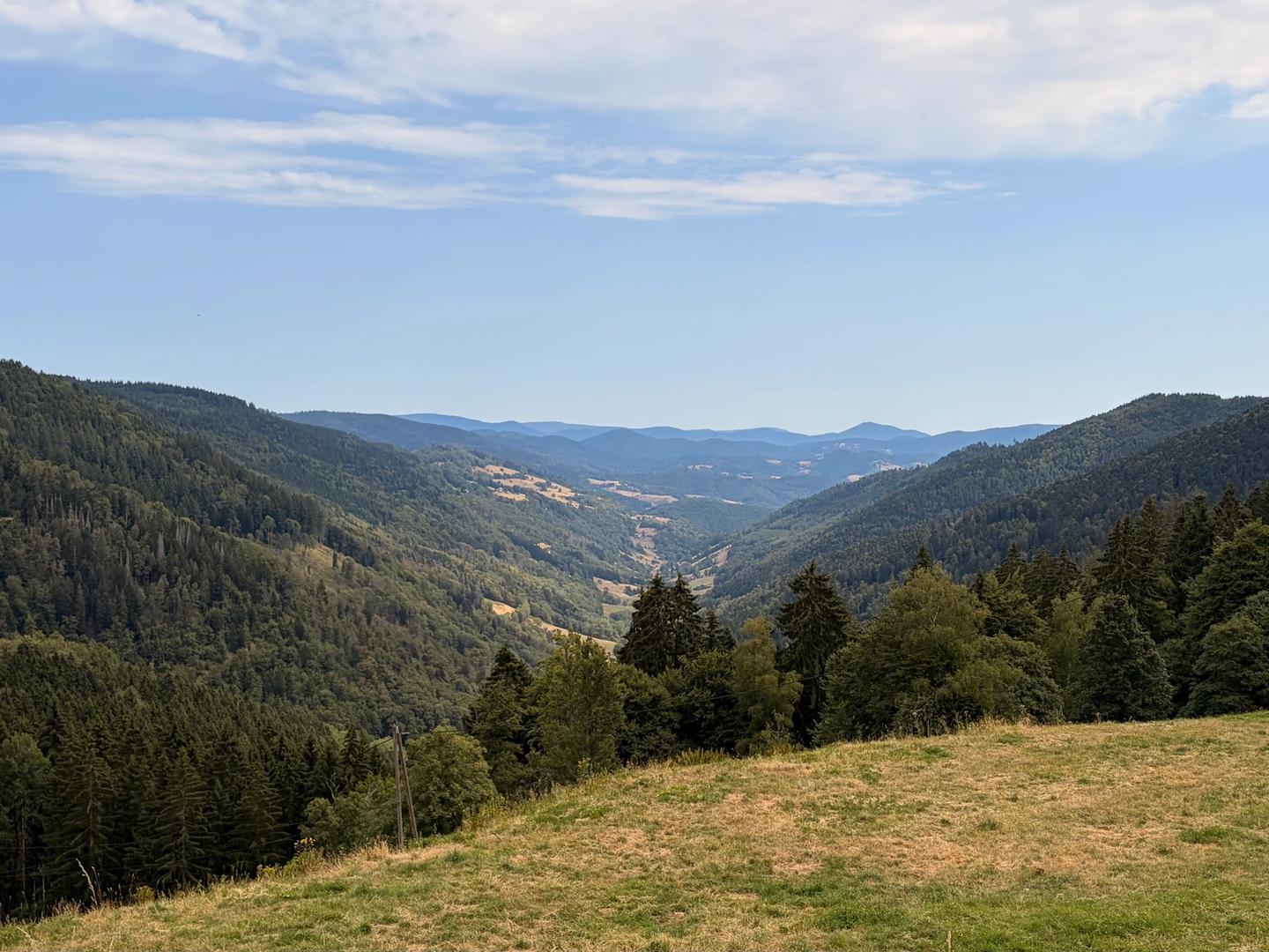 bergen saint marie aux mines, elzas, lotharingen vogezen, col de bagenelles, zwarte woud
