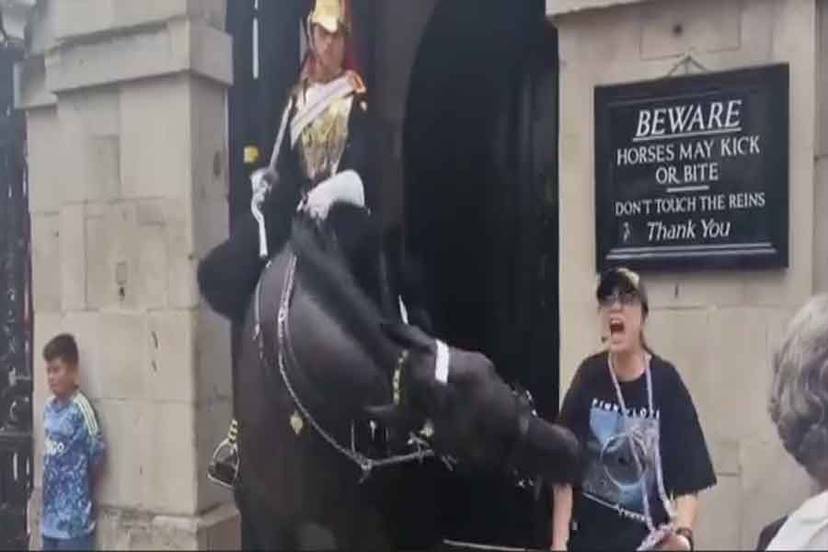 Article: UK: Turista Desmaia Após Ser Mordida por Cavalo da Guarda Real Durante Tentativa de Foto