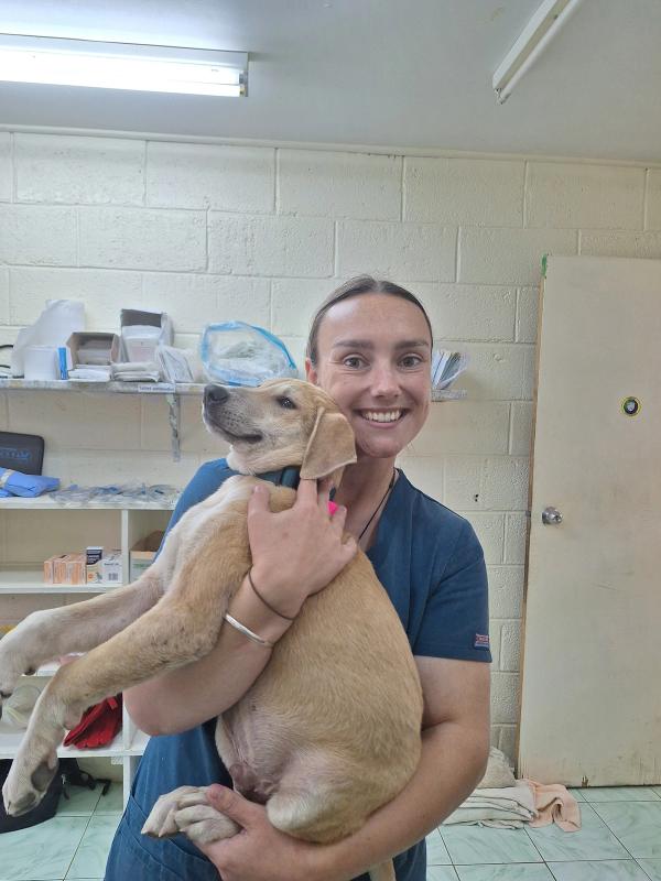 Making a difference as a Veterinary Nurse volunteer in Tonga