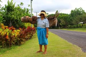 a woman is carrying a bunch of coconuts on her back .