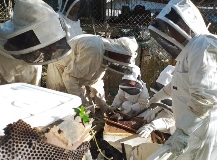 A group of beekeepers working and using equipment