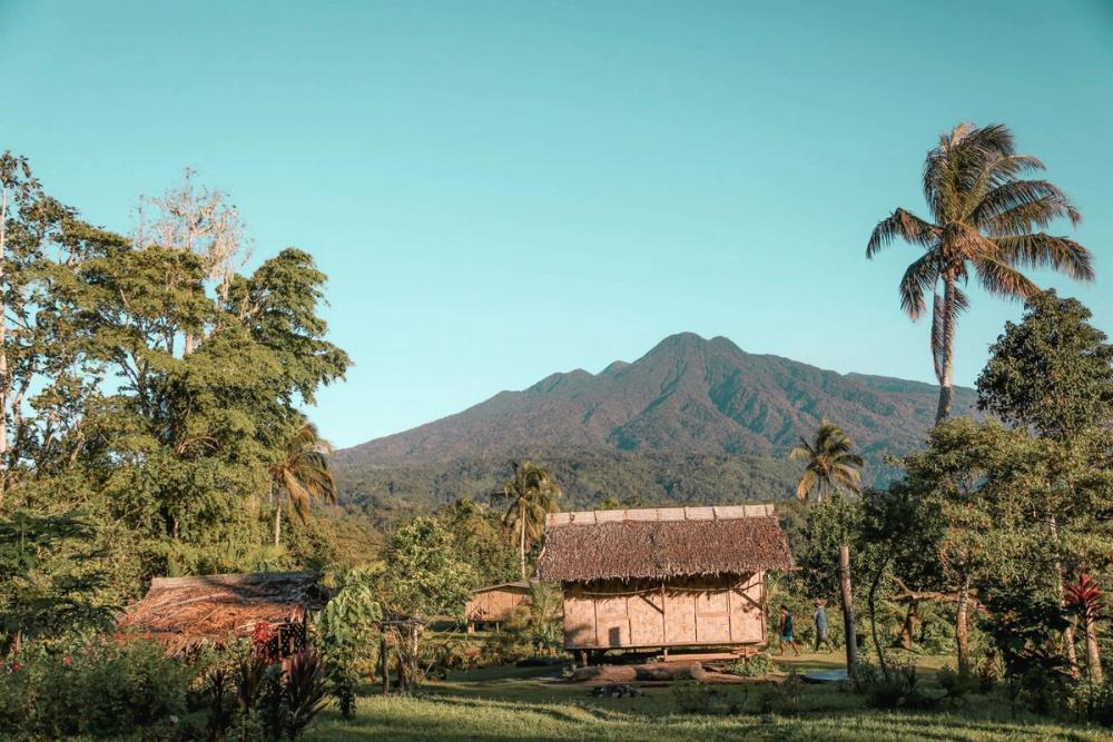 a woman is standing on a dirt road surrounded by palm trees . a woman is standing on a dirt road surrounded by palm trees .