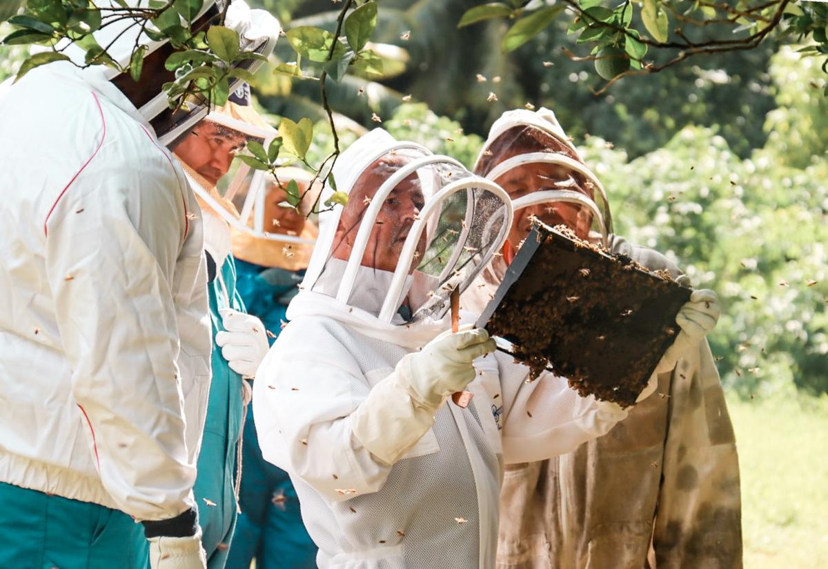 David volunteers as a Beeking Advisor in Tonga