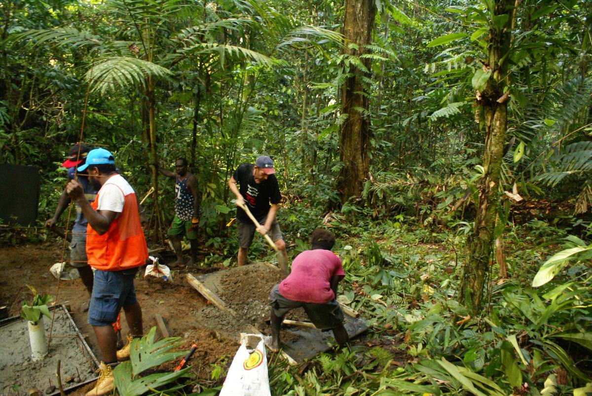 A group of people digging up and working in the bush