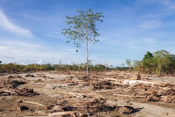 Climate change in our region