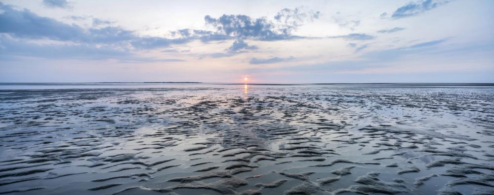 Wadden Sea