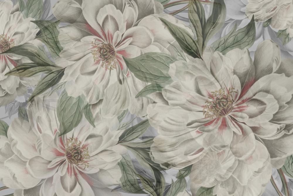 Peony Study - Pearl and Green