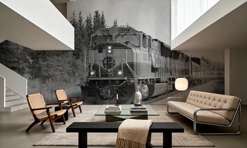 Alaskan Train