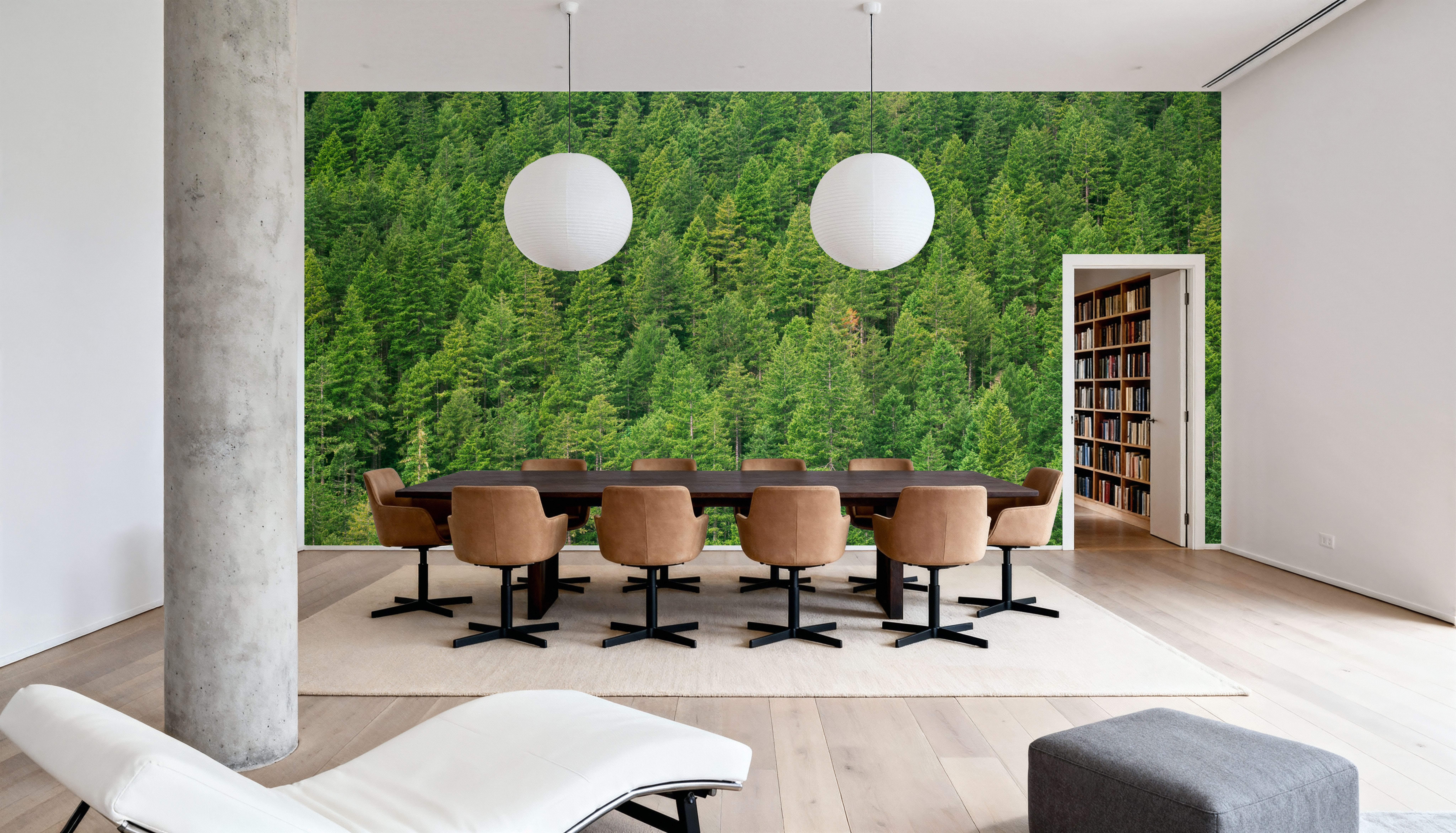 Evergreen Forest in Washintong State