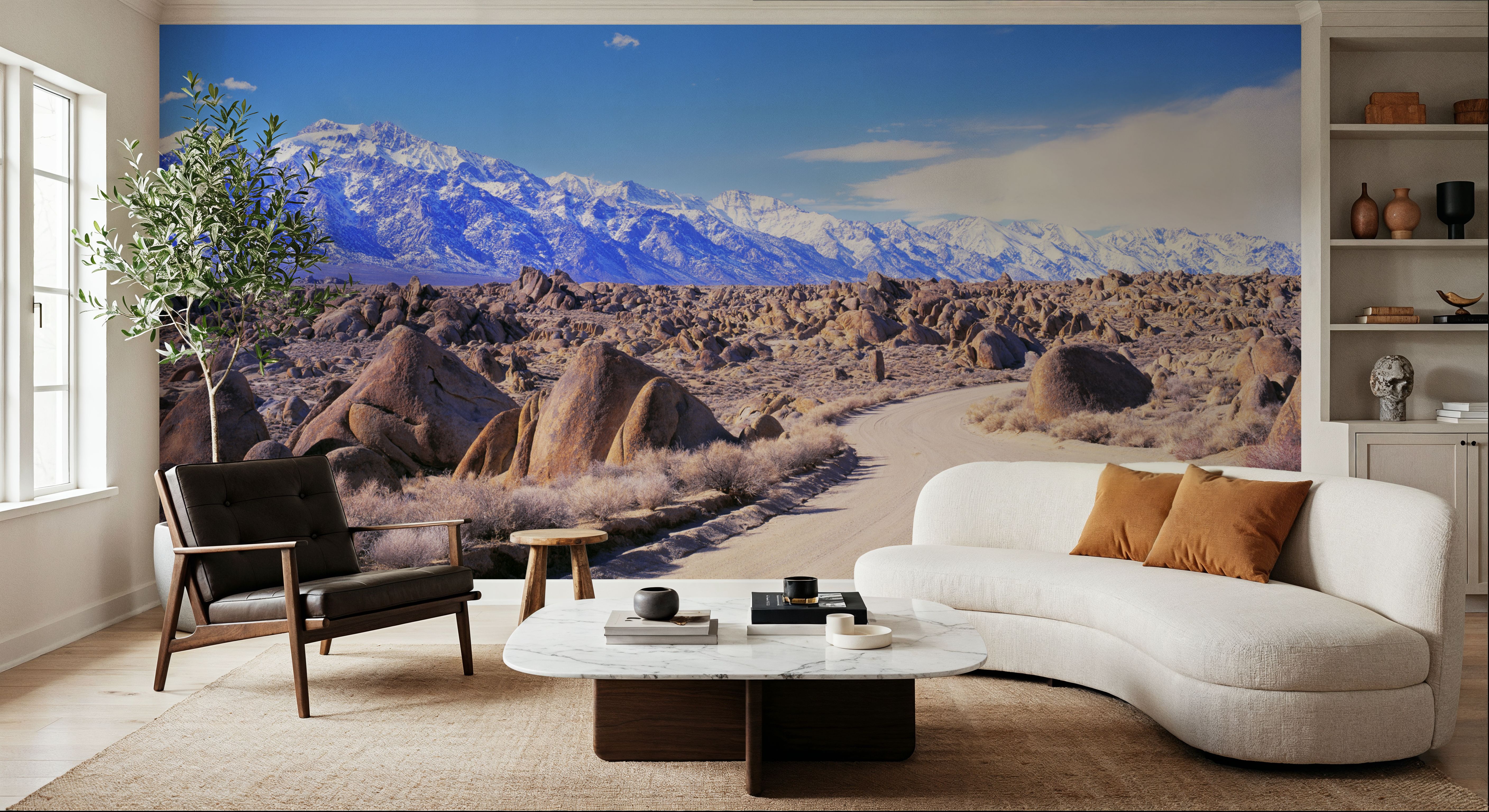 Desert Mountain Trail