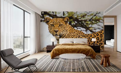 Lounging Leopard