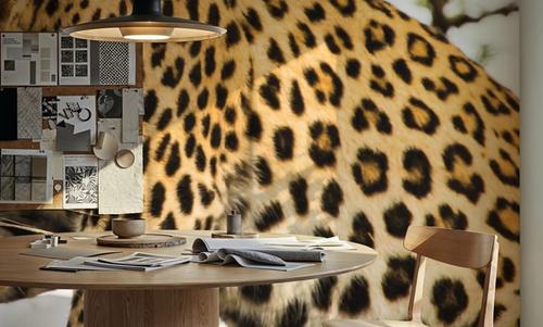Leopard After Lunch