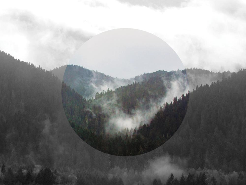 Bold Adventures IV