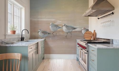 Shorebirds