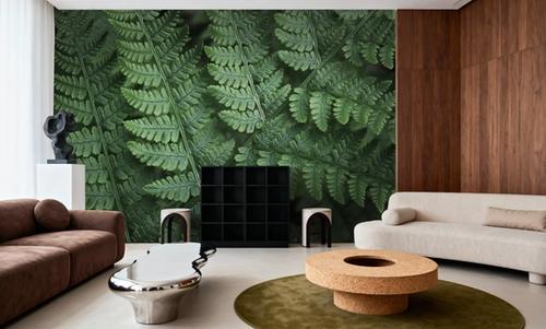 Fern Layers