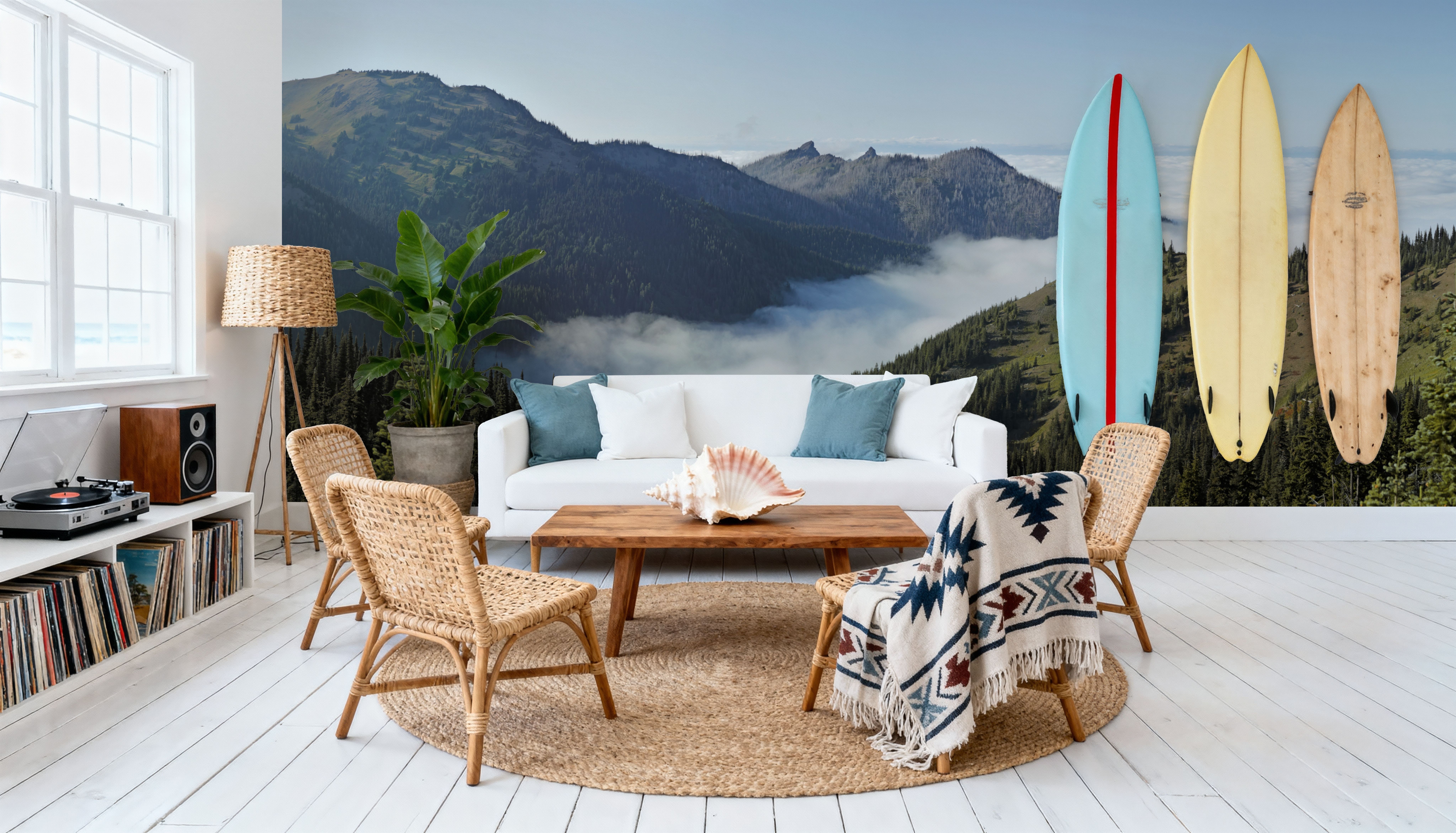 Hurricane Ridge Views