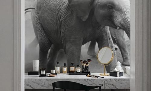 Elephant Race BW