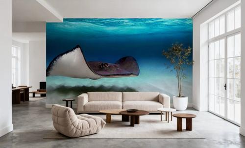Ocean Glider